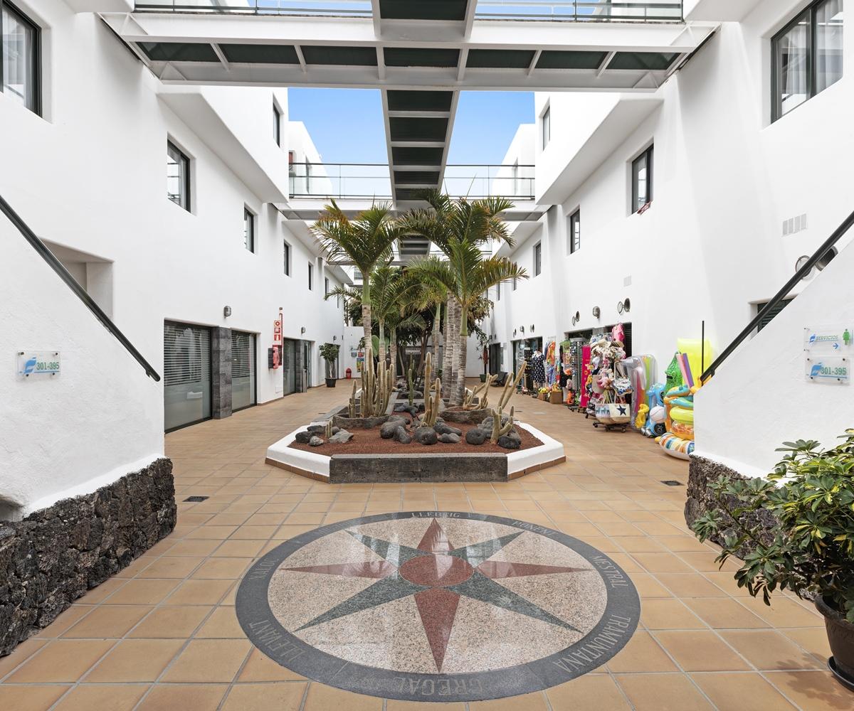 Thb Flora Puerto del Carmen (Lanzarote)