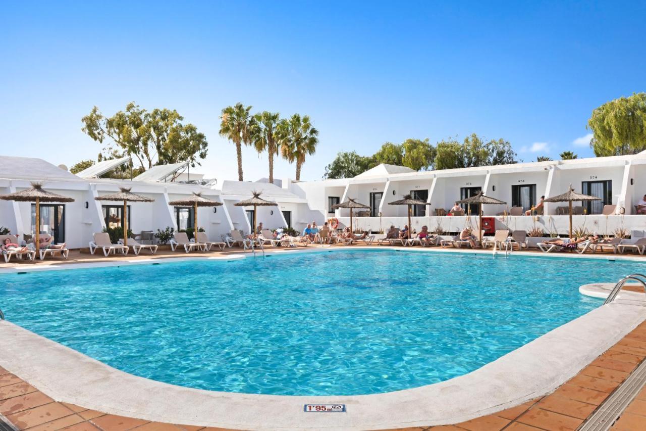 Thb Flora Puerto del Carmen (Lanzarote)